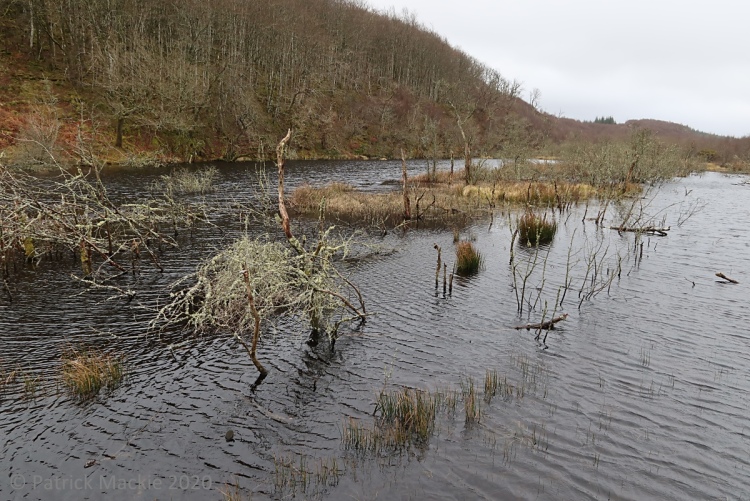 The flooded Dubh Loch area